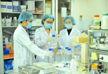 Quan điểm của V.I.Lênin, Hồ Chí Minh về phát hiện, bồi dưỡng, sử dụng nhân tài và vận dụng trong thực hiện Chiến lược quốc gia về thu hút, trọng dụng nhân tài hiện nay