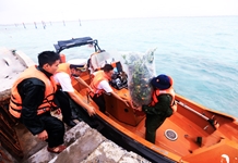 Tết ấm tình nơi đảo xa
