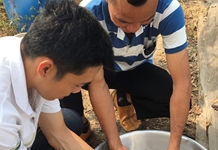 Tiềm năng nuôi thương phẩm cá chạch lấu