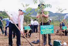 Trồng 500 cây sao đen tại Lễ phát động "Tết trồng cây đời đời nhớ ơn Bác Hồ" xuân Ất Tỵ 2025
