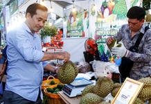 Sầu riêng Khánh Sơn: Xây dựng chuỗi liên kết sản xuất, tiêu thụ