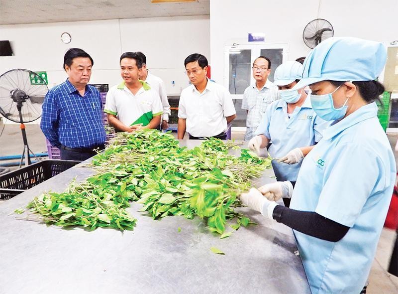  Chỉ thị của Ban Bí thư về tăng cường bảo đảm an ninh, an toàn thực phẩm trong tình hình mới 