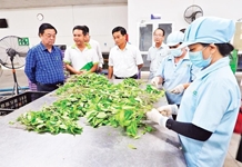 Chỉ thị của Ban Bí thư về tăng cường bảo đảm an ninh, an toàn thực phẩm trong tình hình mới