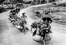 Chủ tịch Hồ Chí Minh và Đảng ta lãnh đạo xây dựng và phát huy thế trận lòng dân trong Chiến dịch Điện Biên Phủ