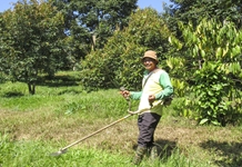 Vượt khó với mô hình trồng cây ăn quả kết hợp vườn rừng