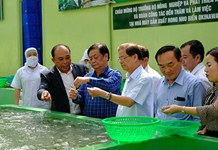 Bộ Nông nghiệp và Phát triển nông thôn định hướng phát triển kinh tế nông nghiệp vùng duyên hải Nam Trung Bộ