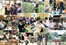 Dự báo bối cảnh đất nước trong những năm tới và một số giải pháp, kiến nghị tiếp tục đẩy mạnh toàn diện công cuộc đổi mới trong giai đoạn mới