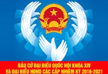 Đến 19 giờ ngày 22-5, tỷ lệ cử tri Khánh Hòa tham gia bầu cử đạt 99,52%