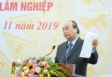 Thủ tướng Nguyễn Xuân Phúc dự hội nghị về đổi mới công ty nông, lâm nghiệp