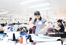 Niềm vui được đi làm...