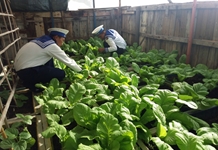 Cán bộ, chiến sĩ đảo Thuyền Chài A với việc học tập và làm theo tư tưởng, đạo đức, phong cách Hồ Chí Minh