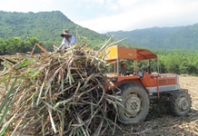 Khánh Hòa: Năm 2016, tổng giá trị sản xuất ngành Nông nghiệp và Phát triển nông thôn ước đạt hơn 10.131 tỷ đồng