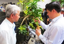 Chủ động ứng phó với dịch bệnh do vi rút Zika