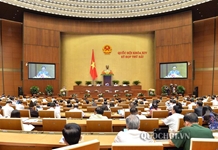 QUỐC HỘI NGHE BÁO CÁO THẨM TRA DỰ ÁN LUẬT SỬA ĐỔI, BỔ SUNG MỘT SỐ ĐIỀU CỦA LUẬT KINH DOANH BẢO HIỂM, LUẬT SỞ HỮU TRÍ TUỆ
