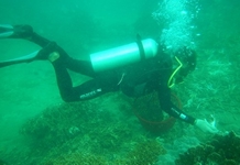 Tiến hành phục hồi rạn san hô bị hư hại do bão số 12