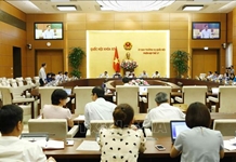 Nâng cao ý thức thượng tôn Hiến pháp, pháp luật