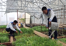 Những người lính nơi đầu sóng