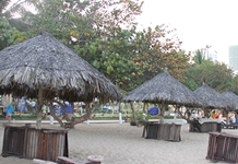 TP. Nha Trang: Tổ chức lại việc đặt dù nghỉ mát trên bãi biển