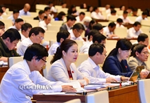 CHÍNH PHỦ BÁO CÁO GIỮA KỲ THỰC HIỆN NGHỊ QUYẾT SỐ 100/2015/QH13 PHÊ DUYỆT CHỦ TRƯƠNG ĐẦU TƯ CÁC CHƯƠNG TRÌNH MỤC TIÊU QUỐC GIA GIAI ĐOẠN 2016-2020