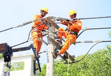 Đảng bộ Công ty Cổ phần Điện lực Khánh Hòa: Nhiều gương người tốt, mô hình hay, hiệu quả