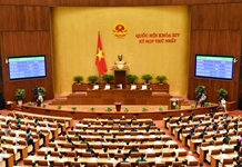 Quốc hội bầu Chủ tịch nước, thảo luận cơ cấu tổ chức của Chính phủ