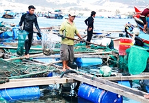 Nuôi trồng thủy sản: Cần tuân thủ quy hoạch và kê khai ban đầu