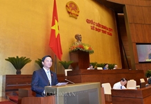 Quốc hội thảo luận Luật Đơn vị hành chính - kinh tế đặc biệt