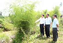 Xã Suối Hiệp: Tìm giải pháp nâng cao thu nhập cho người dân