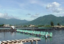 Quy định tạm thời đối với các vùng nuôi trồng thuỷ sản lồng bè trên biển tại địa bàn tỉnh Khánh Hoà