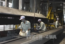 Loại bỏ cơ chế “xin-cho” từ quy định cụ thể