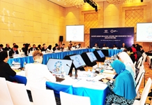 Đại biểu tham dự các hoạt động của 8 nhóm công tác, tiểu ban và hội thảo