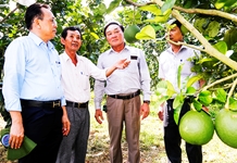 Công nhận 18 sản phẩm OCOP