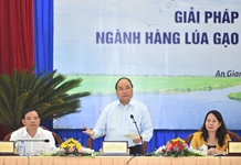 Thủ tướng chủ trì Hội nghị lúa gạo vùng Đồng bằng sông Cửu Long