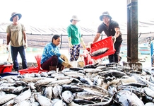 Ước vọng đầu xuân