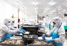 Chăm lo tết cho người lao động