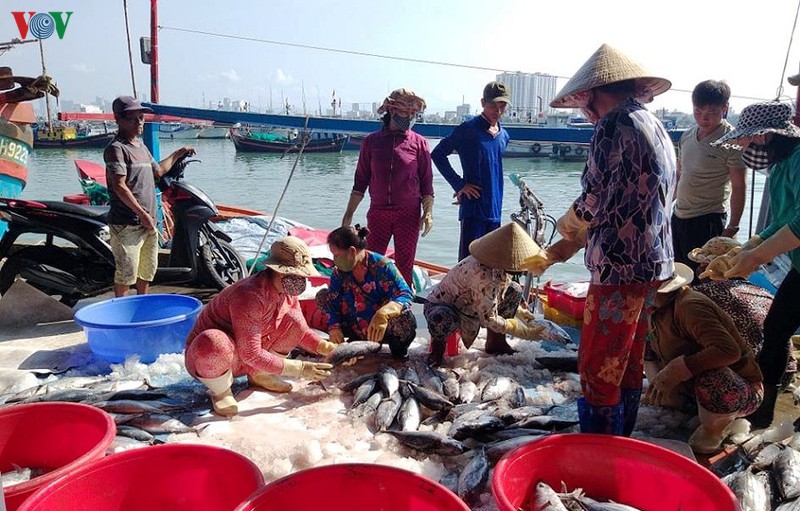Ngư dân Khánh Hòa: Lệnh cấm đánh bắt cá của Trung Quốc là vô giá trị