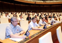 Đã uống rượu, bia thì không được điều khiển phương tiện giao thông