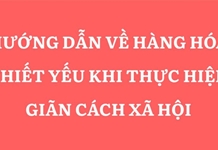 Hướng dẫn về hàng hóa thiết yếu khi thực hiện giãn cách xã hội