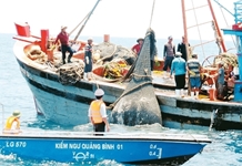 Thành lập Ban Chỉ đạo quốc gia về chống khai thác hải sản bất hợp pháp