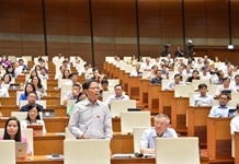 Việt Nam có nhiều khả năng trở thành nhà xuất khẩu gạo hàng đầu thế giới trong năm 2020