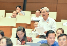 Quy định ngành nghề ưu tiên phát triển cần phù hợp với điều kiện từng đặc khu