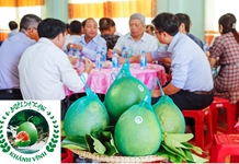 Kỳ vọng thương hiệu bưởi da xanh