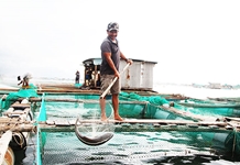 Kỳ họp thứ 8, HĐND tỉnh Khánh Hòa khóa VI Chủ tịch UBND tỉnh giải trình một số nội dung phát triển kinh tế - xã hội