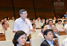 Quốc hội thảo luận về dự án Luật Bảo vệ và phát triển rừng (sửa đổi)