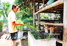 "Chìa khóa" để thoát nghèo