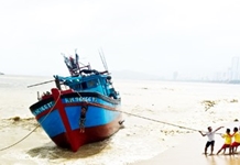 Mưa lũ gây thiệt hại