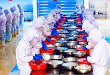 Đẩy mạnh thực thi Hiệp định EVFTA