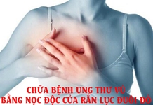 Chia sẻ của bạn đọc: THUỐC CHỮA BỆNH UNG THƯ VÚ BẰNG NỌC ĐỘC CỦA RẮN LỤC ĐUÔI ĐỎ