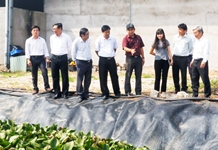 HĐND tỉnh Khánh Hòa: Giám sát nhiều vấn đề cử tri quan tâm