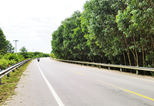 Sẽ xây dựng đường gom Quốc lộ 27C